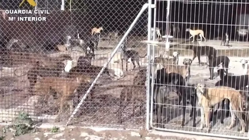 E77E8E8B-D881-42F2-823E-BE0AACEE9C72