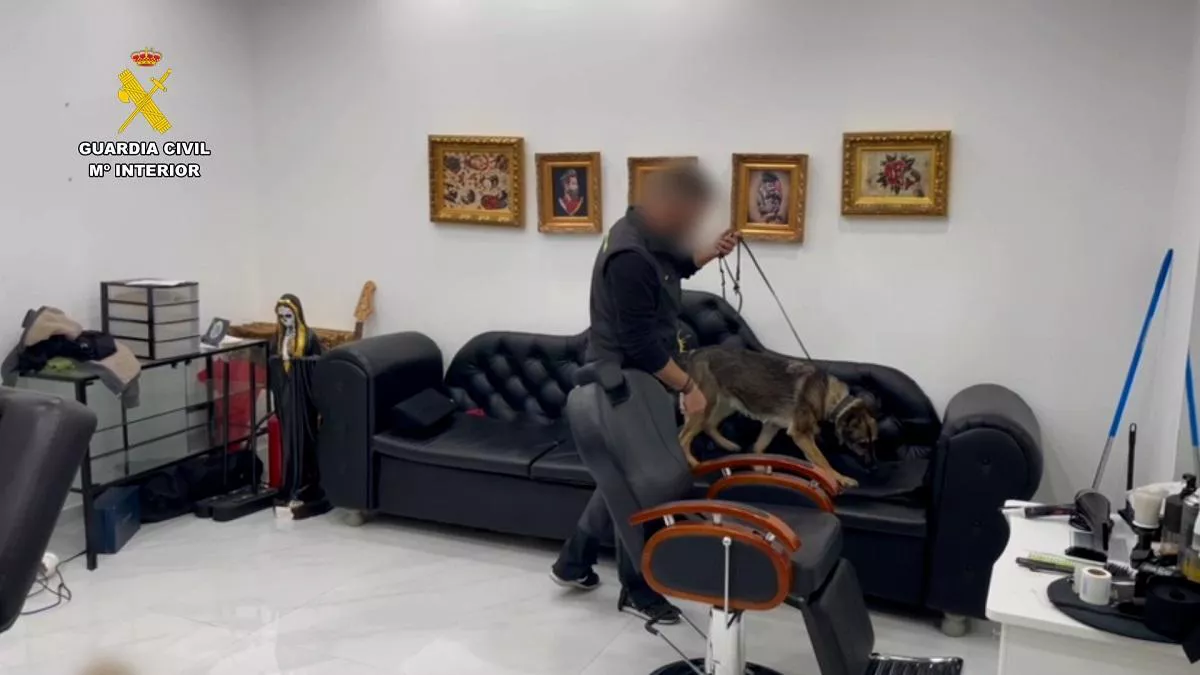 registro-droga-valencia