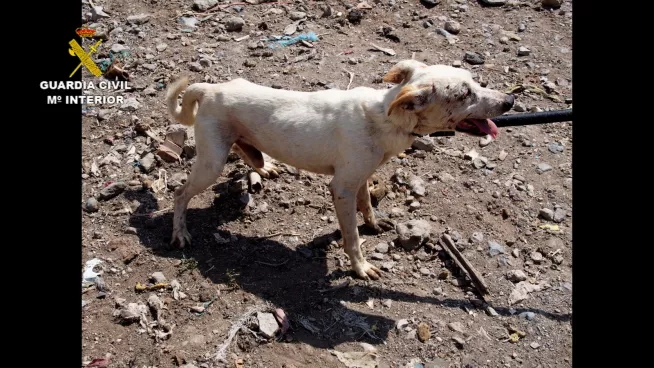 78CD3793-ADD2-45BB-9FA2-EF26B76BE5AA