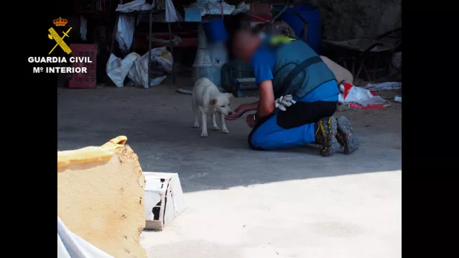 CBA5BFCA-94FF-495F-B58C-A09BCB1E194B