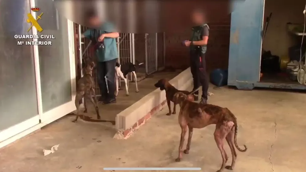 929C7A8E-2C96-4E07-97E6-623984FDB227