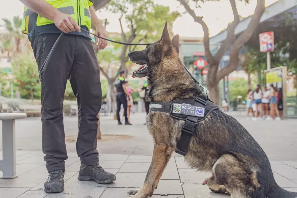 perro_policia_2