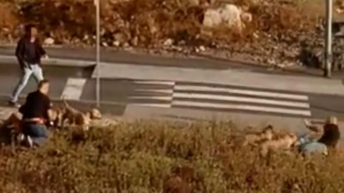 policia-ataque-perros-ppp-2