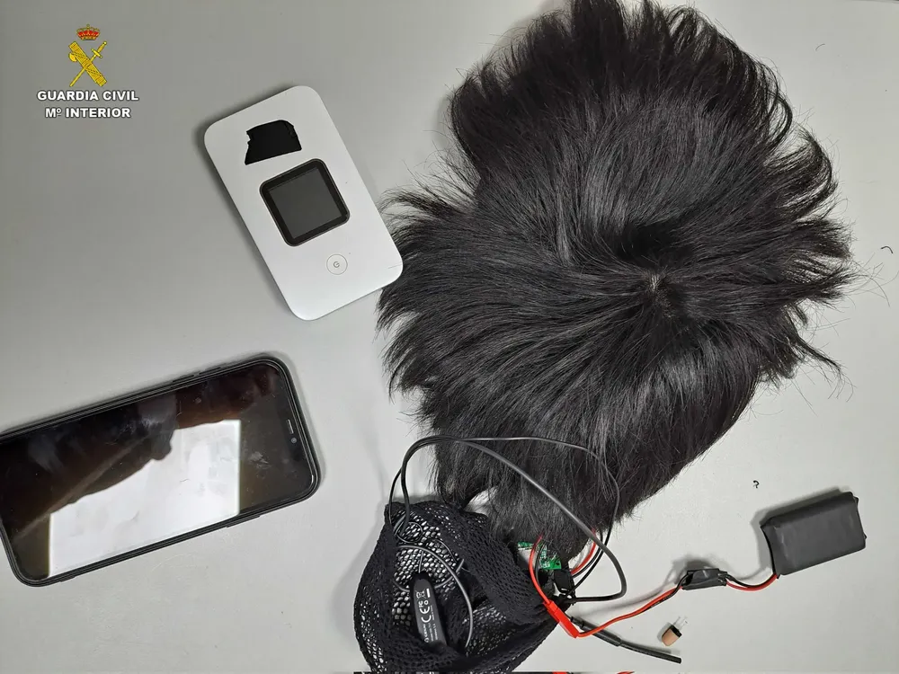 peluca-examen-conducir2