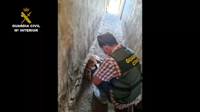 890A5EF6-3D0C-4817-8C03-D568181447C5