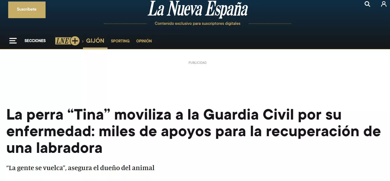 Diario "La Nueva España"