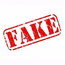 fake