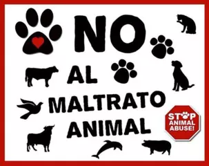 Maltrato-animal