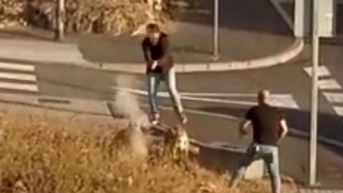 policia-ataque-perros-ppp