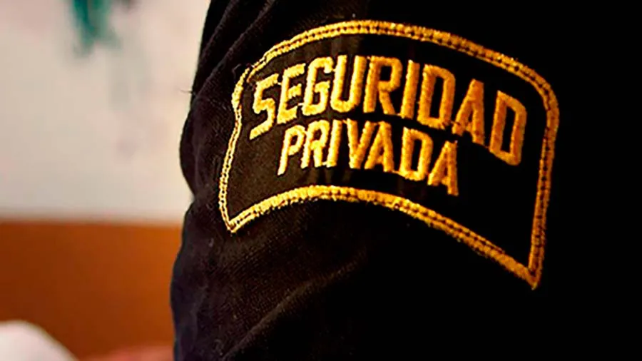 vigilantes_de_seguridad_en_espana