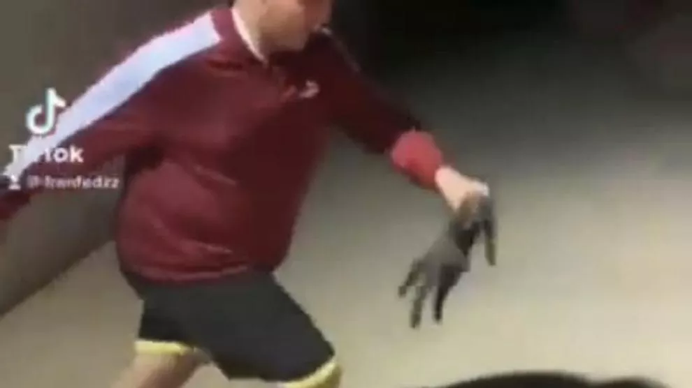 momento-en-el-que-el-menor-le-da-una-patada-a-un-gato