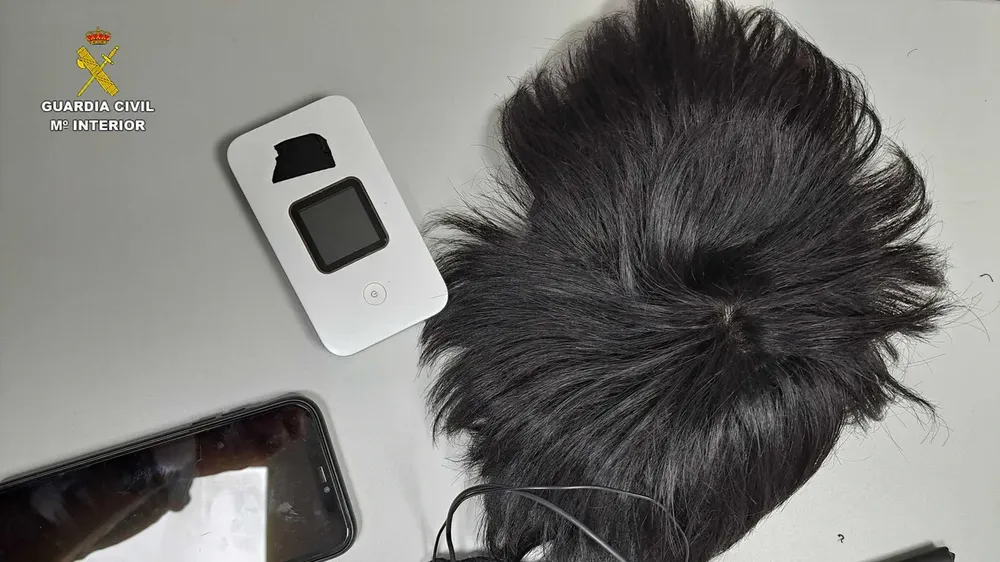 peluca-examen-conducir