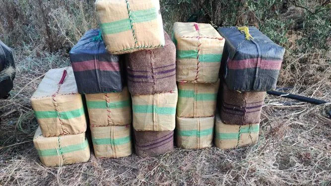 Varios-desembocadura-Guadalquivir-Guardia-Civil