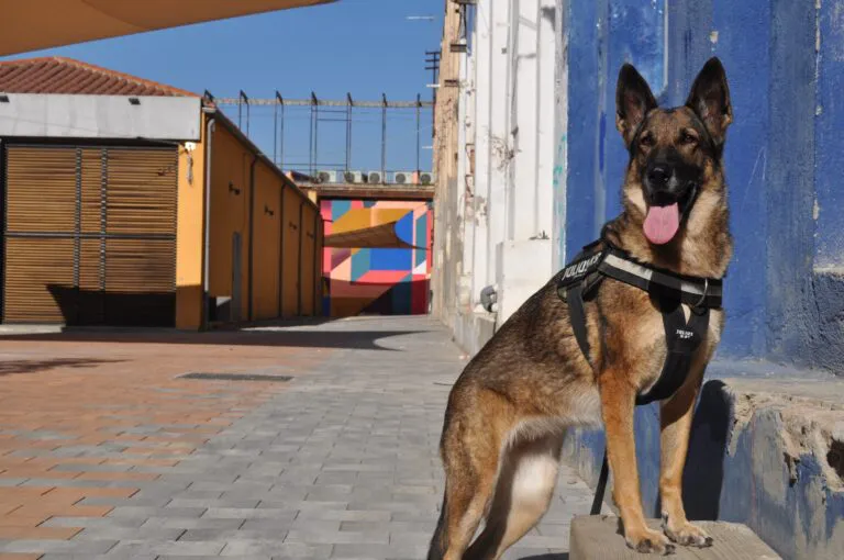 perro-policia-cuadernos-de-seguridad