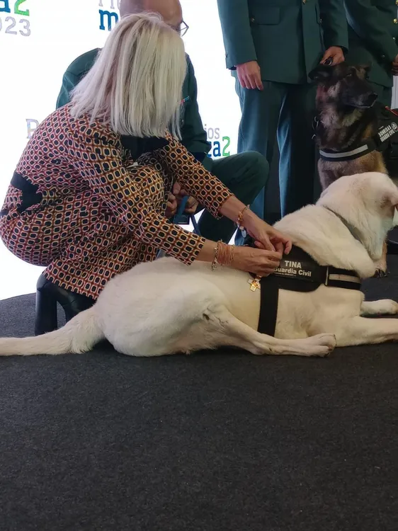 393304526_1513036156178187_5398934691233052127_n