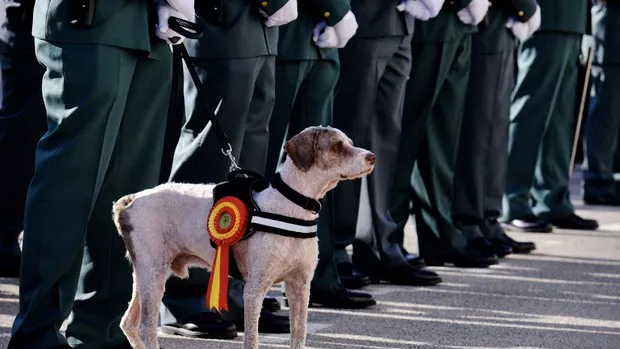 image00023-kRmC--620x349@abc