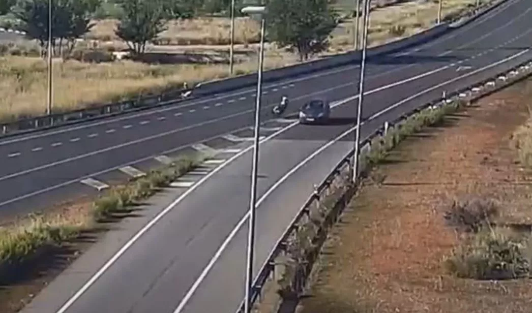 Captura-atropello-1046x616