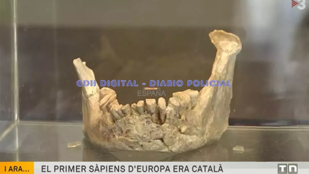 homo-sapiens-catalán