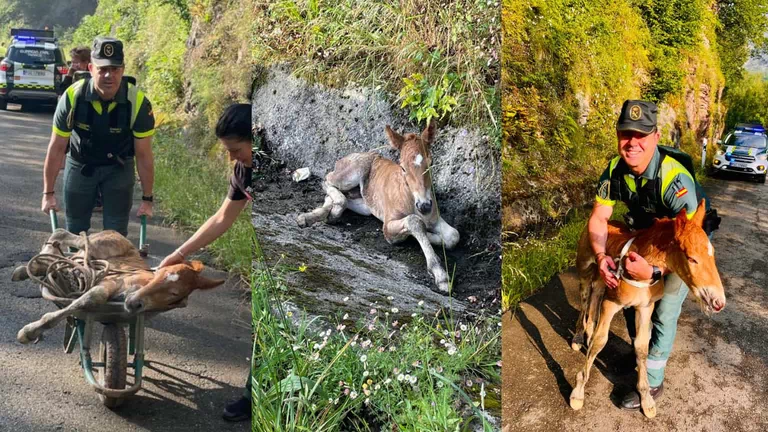 391DD044-FDB7-42A1-8695-B69A0E1C2BAA