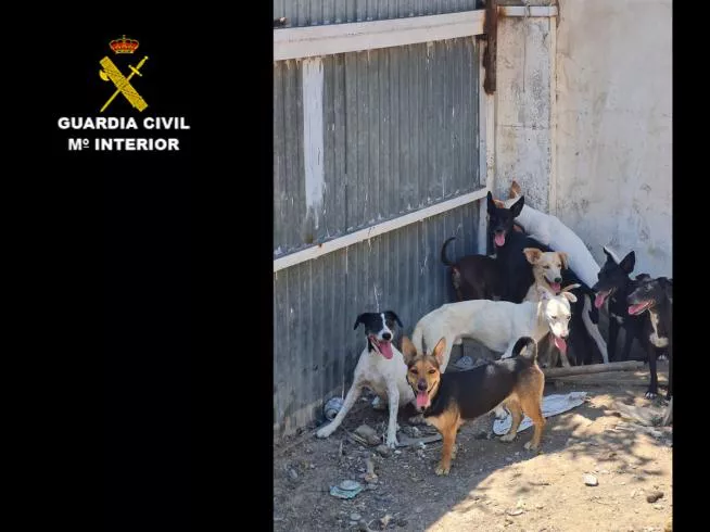 CCF64DD4-A3DF-4250-85E5-47D323ED3C47