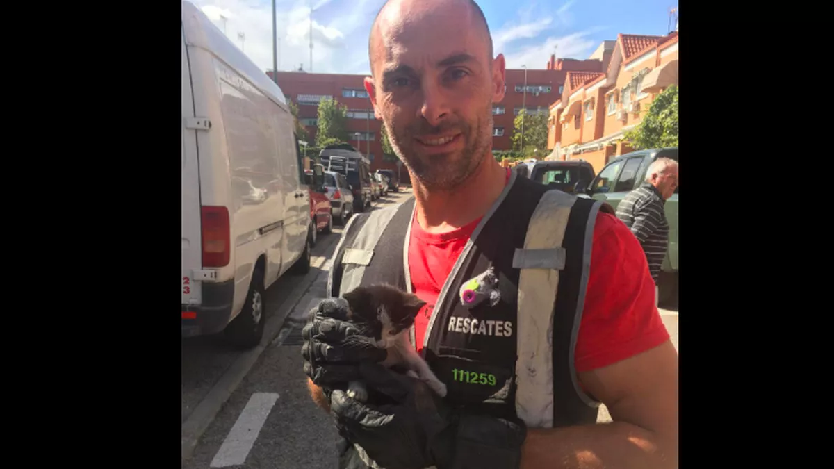 8910024B-B1A2-40DA-8F31-227208EA63DA