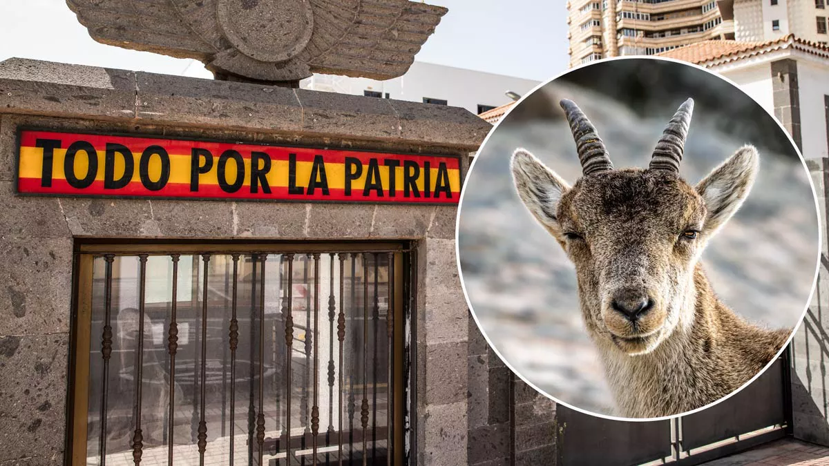 33BD353A-792A-44AC-A7BB-E0356A5595B1